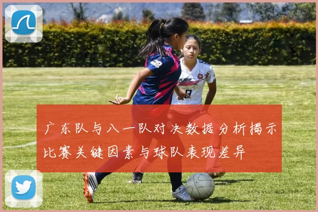 广东队与八一队对决数据分析揭示比赛关键因素与球队表现差异