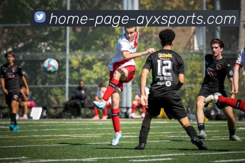 爱游戏平台生态图